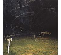 Yo La Tengo - This Stupid World