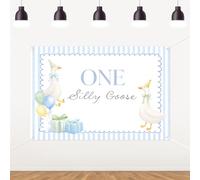 YO PERREO SOLA One Silly Goose 1st Birthday Backdrop 5x3ft Blue Boy First Birthday Banner Silly Goose Birthday Theme One Lucky Duck Decor Party Photo Booth Background Dessert Table Wall Decor
