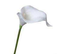 YobiLife 5pcs Calla Lily Bouquet Gorgeous Floral Arrangement for Home Office Party Home Decor Floral Arrangements(White)