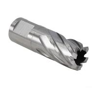 YobiLife Hollow Core Drill Bit HSS Annular Cutter for Steel and Metal 12 mm to 42 mm Deep Hole Drilling 35mm Depth 1 Pc(12×30mm)