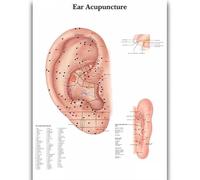 Yocheng Human Anatomy Body Organ Bones Picture Poster Canvas Painting Printmaking Deco Mural Home Room Wall Art Decoration 40x50cm No Frame