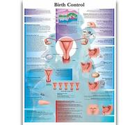 Yocheng Human Anatomy Body Organ Bones Picture Poster Canvas Painting Printmaking Deco Mural Home Room Wall Art Decoration 21x30cm No Frame