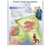 Yocheng Human Anatomy Body Organ Bones Picture Poster Canvas Painting Printmaking Deco Mural Home Room Wall Art Decoration 60x90cm No Frame