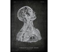 Yocheng Vintage Chalkboard Anatomy Organ Poster Canvas Painting Human Body Brain Wrist Heart Medicine Wall Picture Room Home Decor 40x50cm No Frame