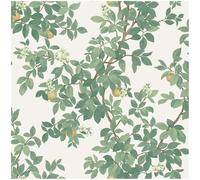 YöL Botanical Wallpaper - Orange Tree Cream Green - 10.05m x 53cm Roll - Contemporary Versatile Classic - Feature Statement Wall - Bedroom Living Room Kitchen Dinning Room