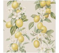 YöL Lemon Blossom Wallpaper Cream Yellow Green Citrus Fruit Floral Wallpaper Traditional Paste The Paper Botanical Kitchen Bedroom Living Room Feature Wall Decor