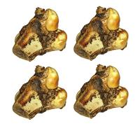 YöL Pack Of 4 Roast Knuckle Bone Buffalo Beef Flavor Large Dog Chew Treat With Real Meat