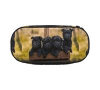 YOFIEN Affenpinscher Family Puppies Black Dogs Monkey,Small Pencil Case Large Capacity Pencil Pouch Office Stationery Organizer