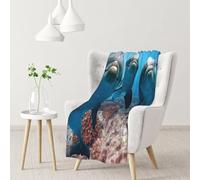 YOFIEN Animal Funny Dolphin PrintedFlannel Throw Fluffy Blanket for Couch, Soft Cozy Blankets