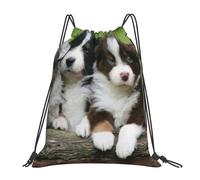 YOFIEN Australian Shepherd Small Puppies Quartet Water Drawstring Backpack Resistant String Bag for Women Men Sports Gym Sackpack