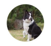 YOFIEN Bad Dog Border Collie 8&8in Round Mouse Pad Sewn Edge Design