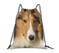 YOFIEN Beautiful Sheltie Breed Dog Water Drawstring Backpack Resistant String Bag for Women Men Sports Gym Sackpack