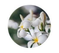 YOFIEN Beautiful White Frangipani Wake Plumeria Flowers 8&8in Round Mouse Pad Sewn Edge Design