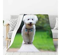 YOFIEN Bichon Frise Bokeh Pets Dogs Park White Dogs Super Soft Throw Flannel Blanket Thick Comfy Cozy Couch 80"x60"