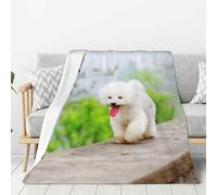 YOFIEN Bichon Frise Park Pets Dogs Bichon Frise Dogs Super Soft Throw Flannel Blanket Thick Comfy Cozy Couch 80"x60"