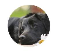 YOFIEN Black Labrador Chamomile Black Retriever Dogs 8&8in Round Mouse Pad Sewn Edge Design