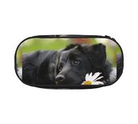 YOFIEN Black Labrador Chamomile Black Retriever Dogs,Small Pencil Case Large Capacity Pencil Pouch Office Stationery Organizer