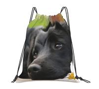 YOFIEN Black Labrador Chamomile Black Retriever Dogs Water Drawstring Backpack Resistant String Bag for Women Men Sports Gym Sackpack
