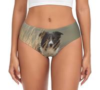 YOFIEN Border Collie Lawn Pets Black White Border,Women's Briefs Underwear Support Pouch Comfort Soft Briefs for Women