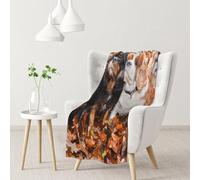 YOFIEN Cavalier King Charles Spaniel Autumn PuppiesFlannel Throw Fluffy Blanket for Couch, Soft Cozy Blankets