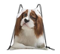 YOFIEN Cavalier King Charles Spaniel Brown Spaniel Water Drawstring Backpack Resistant String Bag for Women Men Sports Gym Sackpack