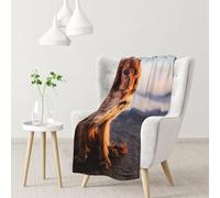 YOFIEN Cavalier King Charles Spaniel Coast Pets DogsFlannel Throw Fluffy Blanket for Couch, Soft Cozy Blankets