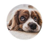 YOFIEN Cavalier King Charles Spaniel Cute Dogs Pets 8&8in Round Mouse Pad Sewn Edge Design
