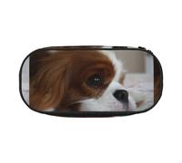 YOFIEN Cavalier King Charles Spaniel Pets Puppy Dogs,Small Pencil Case Large Capacity Pencil Pouch Office Stationery Organizer