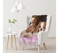 YOFIEN Cavalier King Charles Spaniel White Brown DogsFlannel Throw Fluffy Blanket for Couch, Soft Cozy Blankets