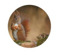 YOFIEN Cute Animal Red Squirrel Sciurus 8&8in Round Mouse Pad Sewn Edge Design