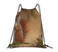 YOFIEN Cute Animal Red Squirrel Sciurus Water Drawstring Backpack Resistant String Bag for Women Men Sports Gym Sackpack