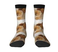 YOFIEN Cute Pomeranian Printed,Men's Moisture Wicking Breathable Cusioned Crew Socks for women