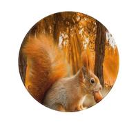 YOFIEN Cute Squirrel Eating Nuts 8&8in Round Mouse Pad Sewn Edge Design