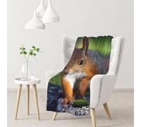 YOFIEN Cute SquirrelFlannel Throw Fluffy Blanket for Couch, Soft Cozy Blankets