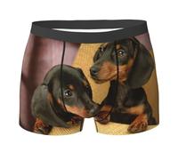 YOFIEN Dachshund Puppies Pets Dogs Small Dachshund,Men's Underwear Boxer Briefs Comfort Soft Stretch for Man Multicolour