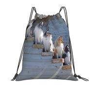 YOFIEN Dogs Border Collie Shetland SheepDogs Alaskan Water Drawstring Backpack Resistant String Bag for Women Men Sports Gym Sackpack