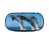 YOFIEN Dolphins Jumping Winter,Small Pencil Case Large Capacity Pencil Pouch Office Stationery Organizer