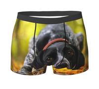 YOFIEN German Shorthaired Pointer Autumn Pets Dogs,Men's Underwear Boxer Briefs Comfort Soft Stretch for Man Multicolour