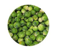 YOFIEN Green Brussel Sprout Print 8&8in Round Mouse Pad Sewn Edge Design