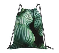 YOFIEN Green Tropical Plant Leaves Printed Water Drawstring Backpack Resistant String Bag for Women Men Sports Gym Sackpack