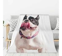 YOFIEN Happy Curious Dog French Bulldog Super Soft Throw Flannel Blanket Thick Comfy Cozy Couch 80"x60"