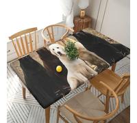 YOFIEN Labrador Retrievers Dogs Black Golden White Brown 5FT Rectangle Fitted Waterproof Table Cover,Spillproof Protector Elastic Edge