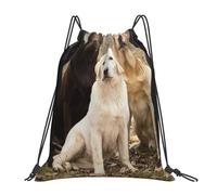 YOFIEN Labrador Retrievers Dogs Black Golden White Brown Water Drawstring Backpack Resistant String Bag for Women Men Sports Gym Sackpack