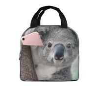 YOFIEN Laid-Back Koala Thickened Insulated Lunchbox Lunch Bag Reusable Leakproof
