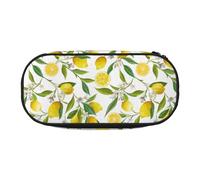 YOFIEN Lemon Fruit Florals,Small Pencil Case Large Capacity Pencil Pouch Office Stationery Organizer