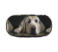 YOFIEN Lovely Labrador Dog,Small Pencil Case Large Capacity Pencil Pouch Office Stationery Organizer