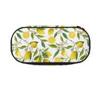 YOFIEN Patterned Exotic Lemon Tree Branches Yummy Delicious,Small Pencil Case Large Capacity Pencil Pouch Office Stationery Organizer