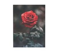 YOFIEN Rose Flower PrintedTable Wall Art for Bedroom Posters Prints Cute Decor Art Prints 30x40cm