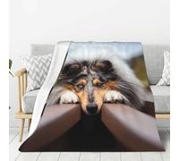 YOFIEN Rough Collie Bokeh Railway Dogs Pets Rough Super Soft Throw Flannel Blanket Thick Comfy Cozy Couch 80"x60"