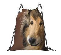 YOFIEN Rough Collie Lassie Dogs Big Fluffy Dogs Pets Water Drawstring Backpack Resistant String Bag for Women Men Sports Gym Sackpack